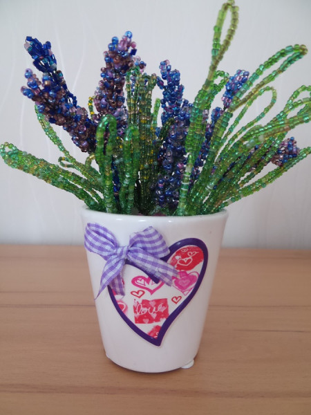 Lavendel in Töpfchen